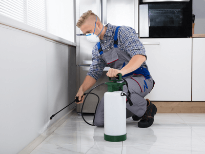 About Ant Control Arizona - ant control experts in Arizona